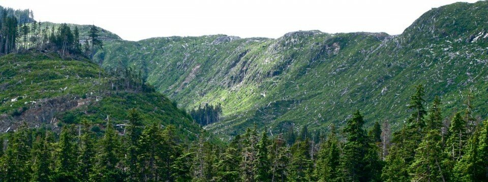 Sealaska Native Corporation Clearcuts, North Kupreanof Island