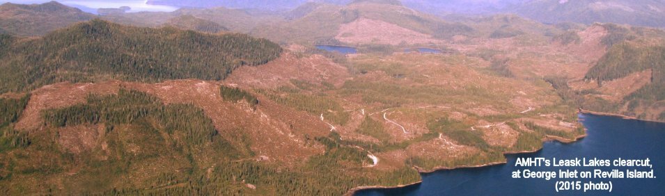 AMHT's Leask Lakes clearcut, 2015, banner format, captioned