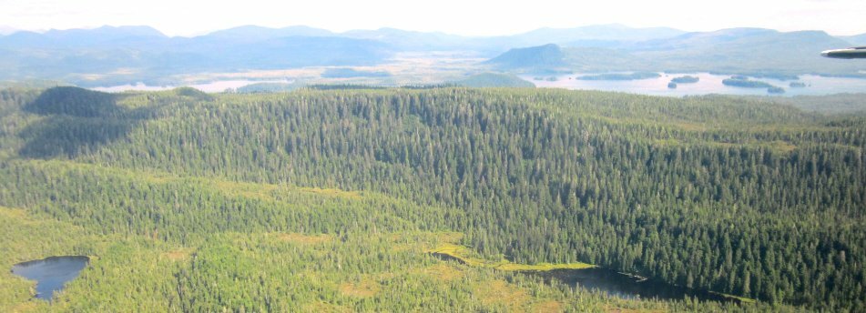 Article header__Sep17